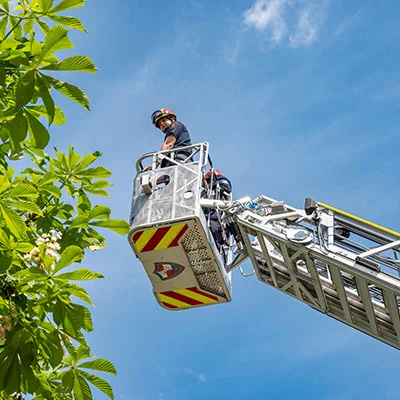 掌握Quantumult：从入门到精通的全面指南与高效配置技巧